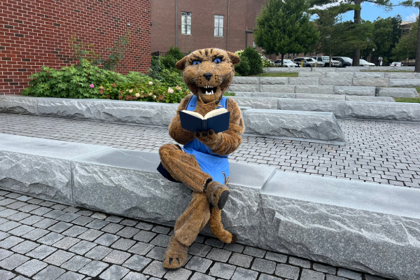 Will D. Cat reading a book