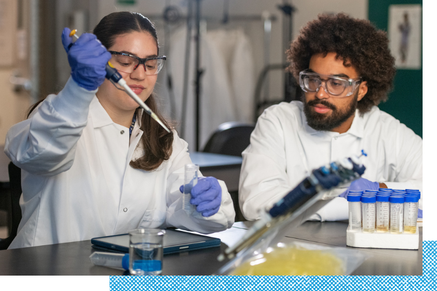 Students working in a lab.